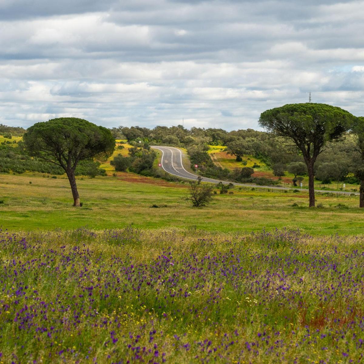 Apartamentos, Contrabando Sanlucar Del Guadiana, Huelva Sanlucar De Guadiana